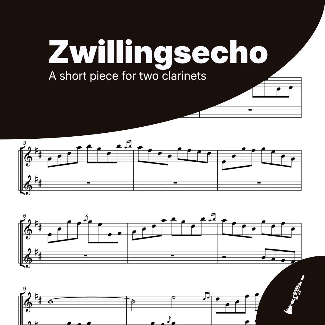 Cover artwork for Zwillingsecho